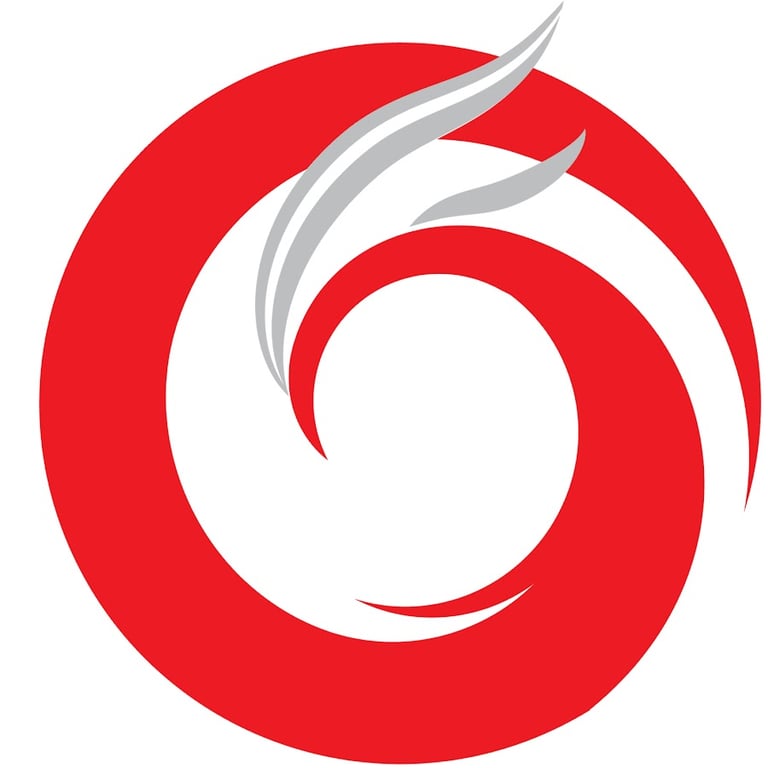 Chinese Nonprofits Near Me - Chinese American Family Coalition