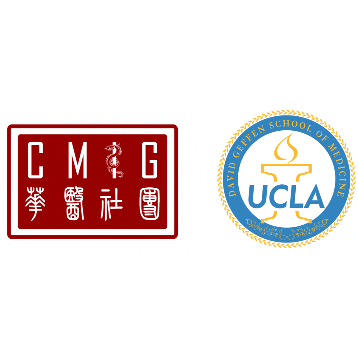 Chinese Medical Interest Group at UCLA